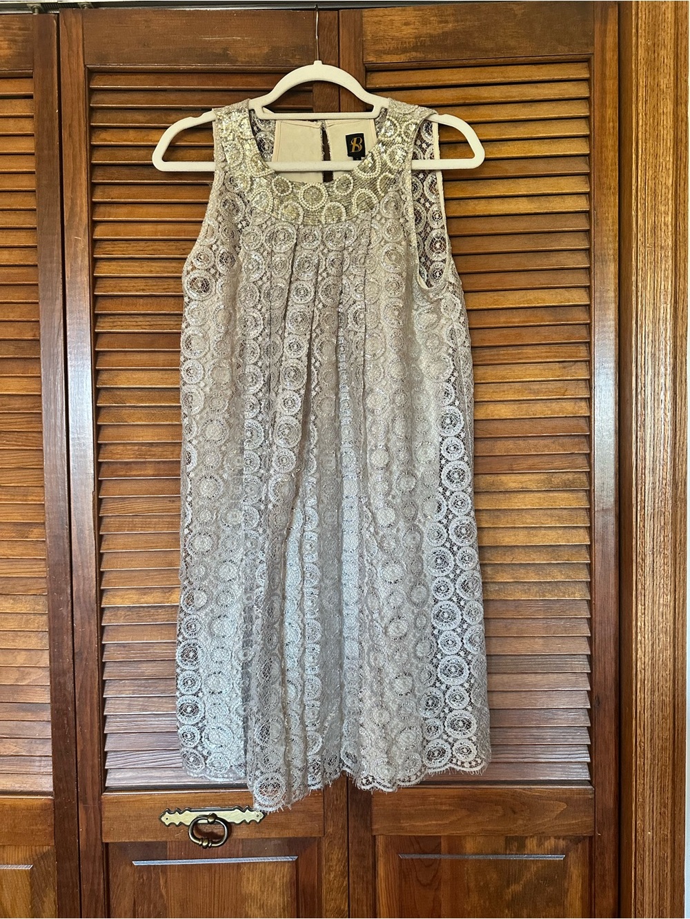 Sachin + Babi for Anthropologie Joyeux champagne silver metallic swing dress - Picture 3 of 11